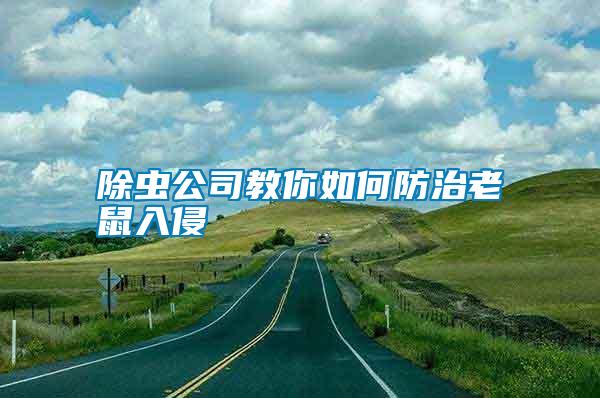 除蟲(chóng)公司教你如何防治老鼠入侵