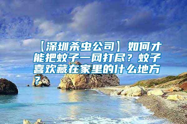 【深圳殺蟲(chóng)公司】如何才能把蚊子一網(wǎng)打盡？蚊子喜歡藏在家里的什么地方？