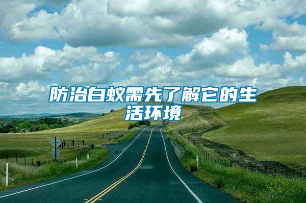 防治白蟻需先了解它的生活環境