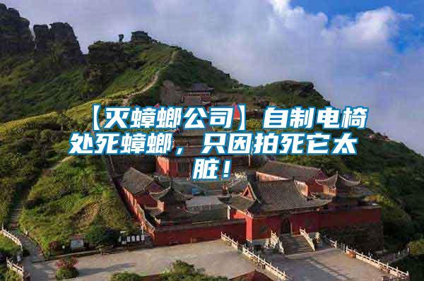 【滅蟑螂公司】自制電椅處死蟑螂，只因拍死它太臟！