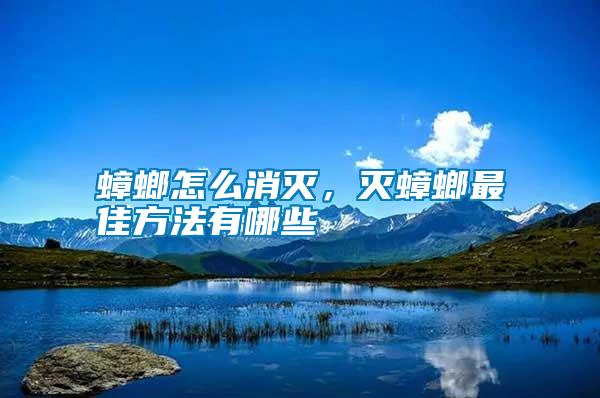 蟑螂怎么消滅，滅蟑螂最佳方法有哪些