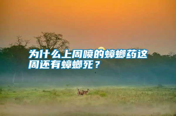 為什么上周噴的蟑螂藥這周還有蟑螂死？