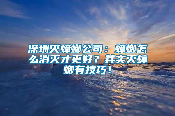 深圳滅蟑螂公司：蟑螂怎么消滅才更好？其實滅蟑螂有技巧！