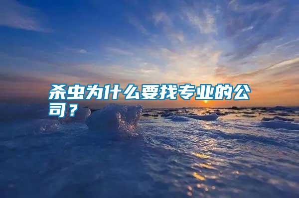 殺蟲為什么要找專業的公司？