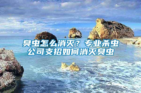 臭蟲怎么消滅？專業殺蟲公司支招如何消滅臭蟲