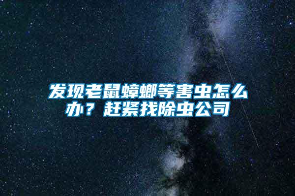 發(fā)現(xiàn)老鼠蟑螂等害蟲怎么辦？趕緊找除蟲公司