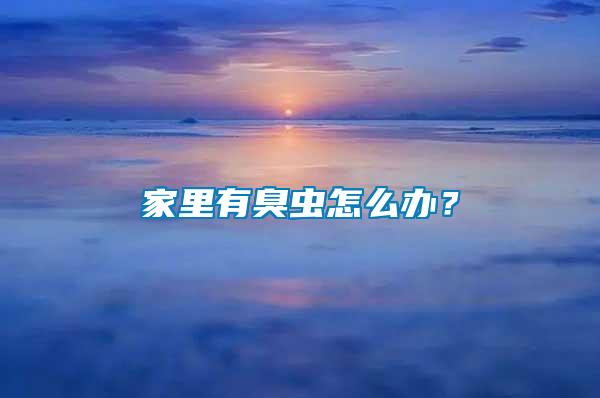 家里有臭蟲怎么辦？