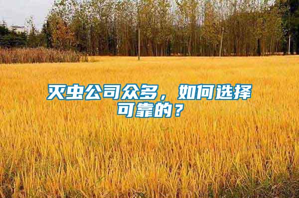 滅蟲公司眾多，如何選擇可靠的？