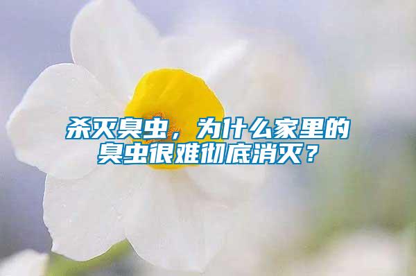 殺滅臭蟲(chóng)，為什么家里的臭蟲(chóng)很難徹底消滅？