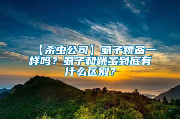 【殺蟲公司】虱子跳蚤一樣嗎？虱子和跳蚤到底有什么區別？
