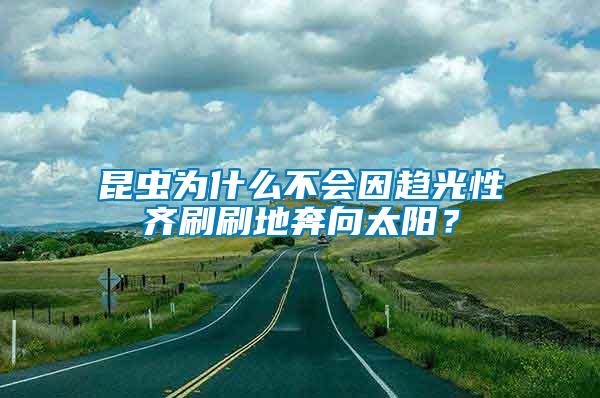 昆蟲為什么不會(huì)因趨光性齊刷刷地奔向太陽？