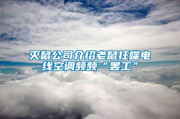 滅鼠公司介紹老鼠狂噬電線(xiàn)空調(diào)頻頻“罷工”