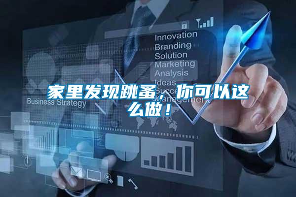 家里發(fā)現(xiàn)跳蚤，你可以這么做！