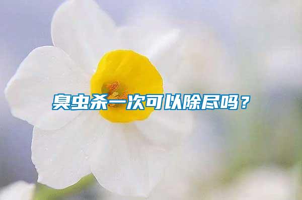 臭蟲殺一次可以除盡嗎？