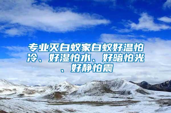 專業滅白蟻家白蟻好溫怕冷、好濕怕水、好暗怕光、好靜怕震