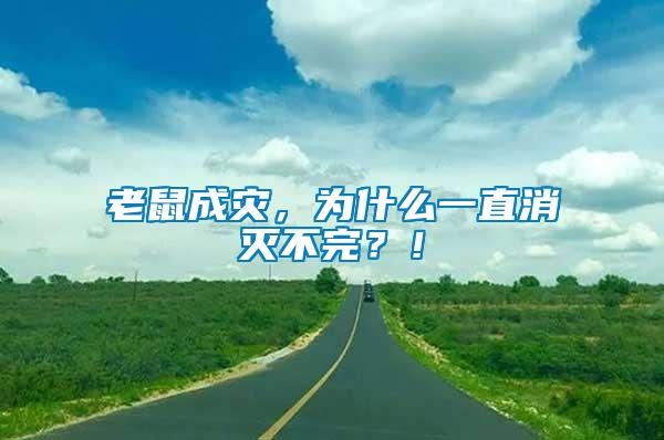 老鼠成災(zāi)，為什么一直消滅不完？！