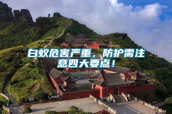 白蟻危害嚴重，防護需注意四大要點！