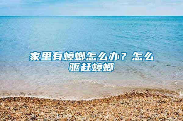 家里有蟑螂怎么辦？怎么驅趕蟑螂