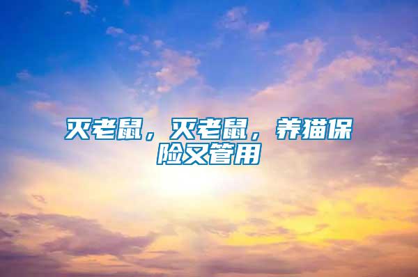滅老鼠，滅老鼠，養(yǎng)貓保險又管用