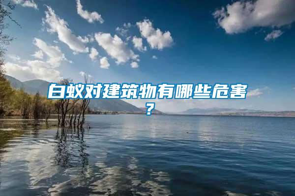 白蟻對(duì)建筑物有哪些危害？