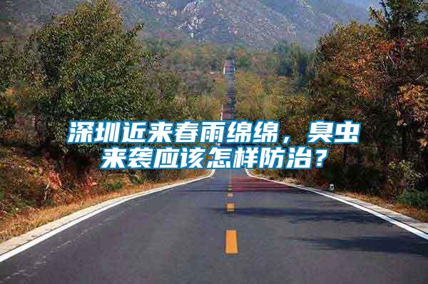 深圳近來春雨綿綿，臭蟲來襲應(yīng)該怎樣防治？