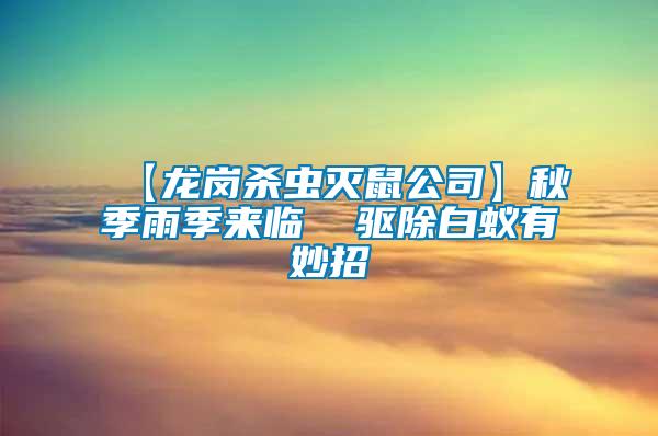 【龍崗殺蟲滅鼠公司】秋季雨季來(lái)臨  驅(qū)除白蟻有妙招