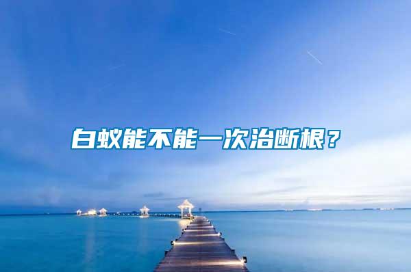 白蟻能不能一次治斷根？