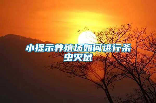 小提示養殖場如何進行殺蟲滅鼠