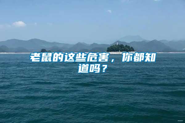 老鼠的這些危害，你都知道嗎？