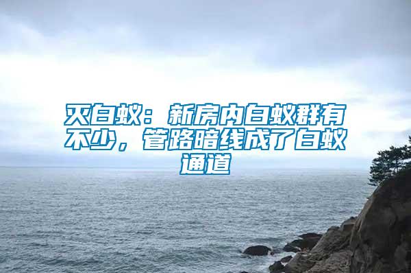 滅白蟻：新房?jī)?nèi)白蟻群有不少，管路暗線成了白蟻通道