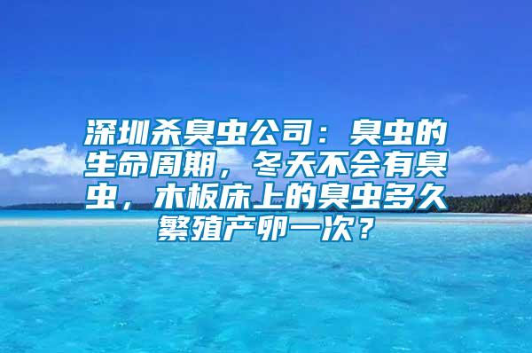 深圳殺臭蟲(chóng)公司：臭蟲(chóng)的生命周期，冬天不會(huì)有臭蟲(chóng)，木板床上的臭蟲(chóng)多久繁殖產(chǎn)卵一次？