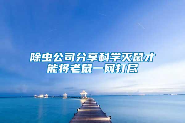 除蟲(chóng)公司分享科學(xué)滅鼠才能將老鼠一網(wǎng)打盡