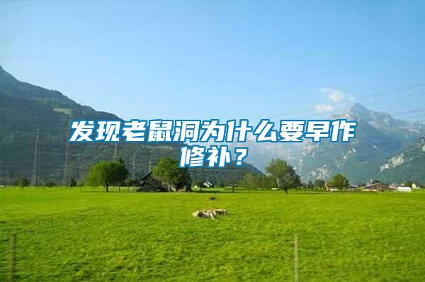發現老鼠洞為什么要早作修補？