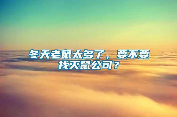 冬天老鼠太多了，要不要找滅鼠公司？