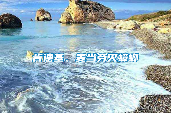 肯德基、麥當勞滅蟑螂