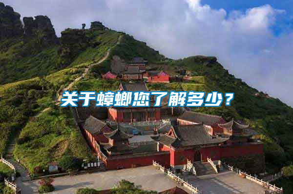 關于蟑螂您了解多少？