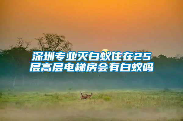深圳專業(yè)滅白蟻?zhàn)≡?5層高層電梯房會有白蟻嗎
