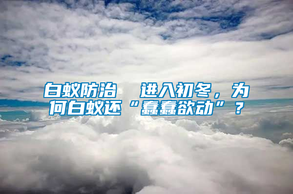 白蟻防治  進入初冬，為何白蟻還“蠢蠢欲動”？
